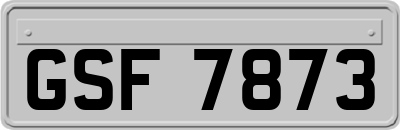 GSF7873