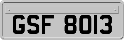 GSF8013