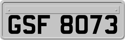 GSF8073