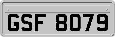 GSF8079