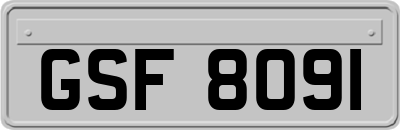GSF8091