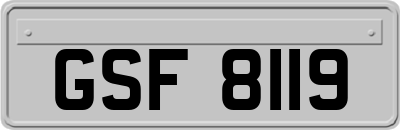 GSF8119