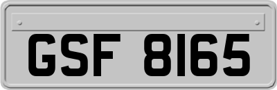 GSF8165