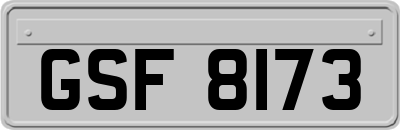 GSF8173
