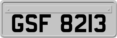 GSF8213