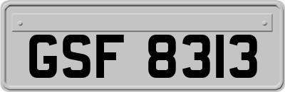 GSF8313