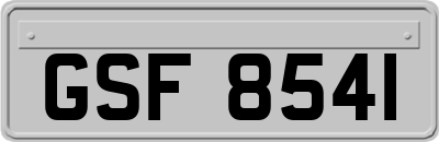 GSF8541