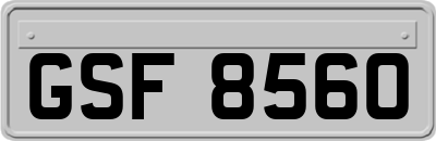 GSF8560