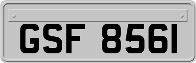 GSF8561