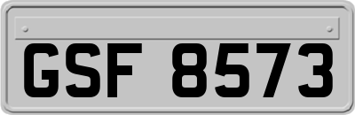 GSF8573
