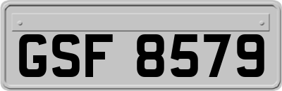 GSF8579