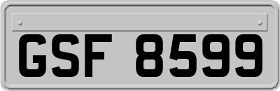 GSF8599