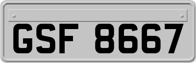 GSF8667