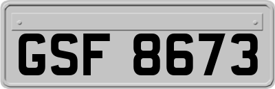 GSF8673