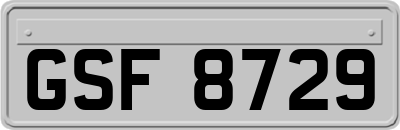 GSF8729