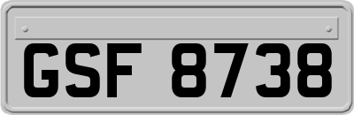 GSF8738