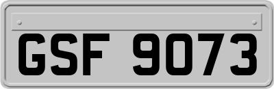 GSF9073