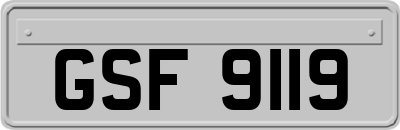 GSF9119