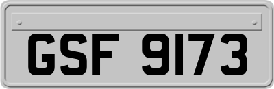 GSF9173