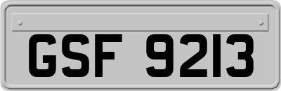 GSF9213