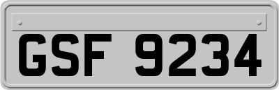 GSF9234