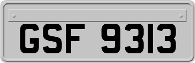 GSF9313