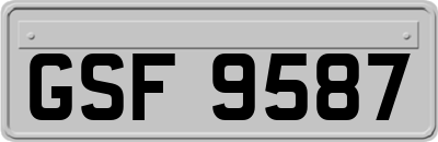 GSF9587