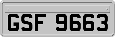 GSF9663