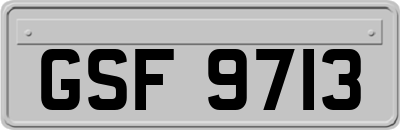 GSF9713