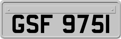 GSF9751