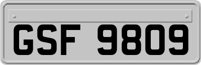 GSF9809