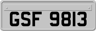 GSF9813