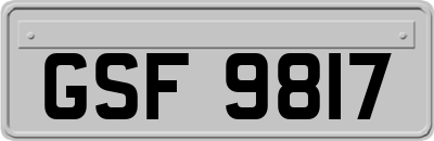 GSF9817