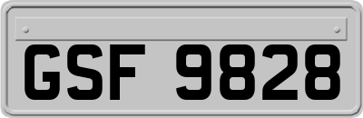 GSF9828
