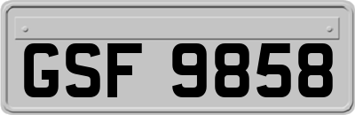 GSF9858