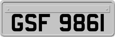 GSF9861