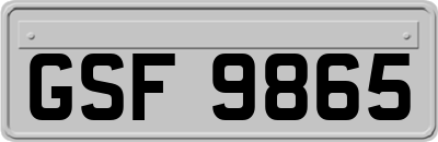 GSF9865