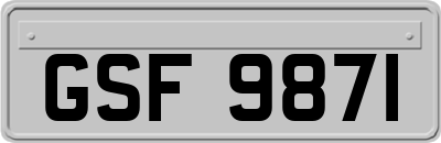 GSF9871