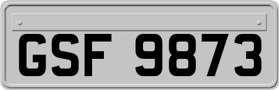GSF9873
