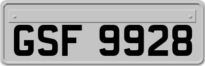 GSF9928