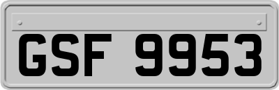 GSF9953