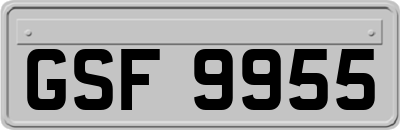 GSF9955