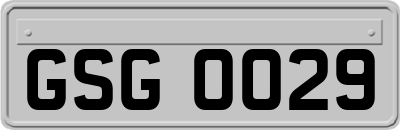 GSG0029