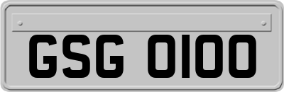 GSG0100