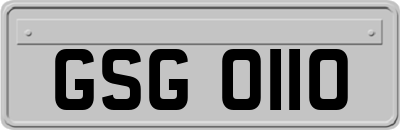 GSG0110