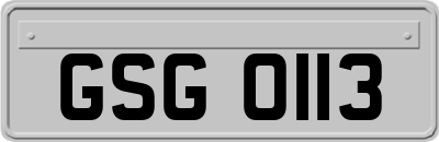 GSG0113