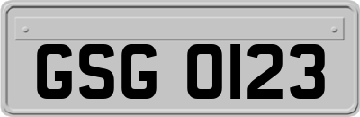 GSG0123