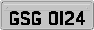 GSG0124