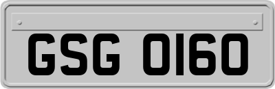 GSG0160