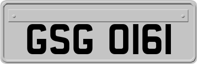 GSG0161